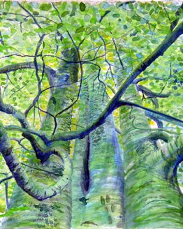 Healing_Power_of_Trees_Large