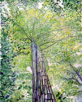 Mens_Gathering_2_Large